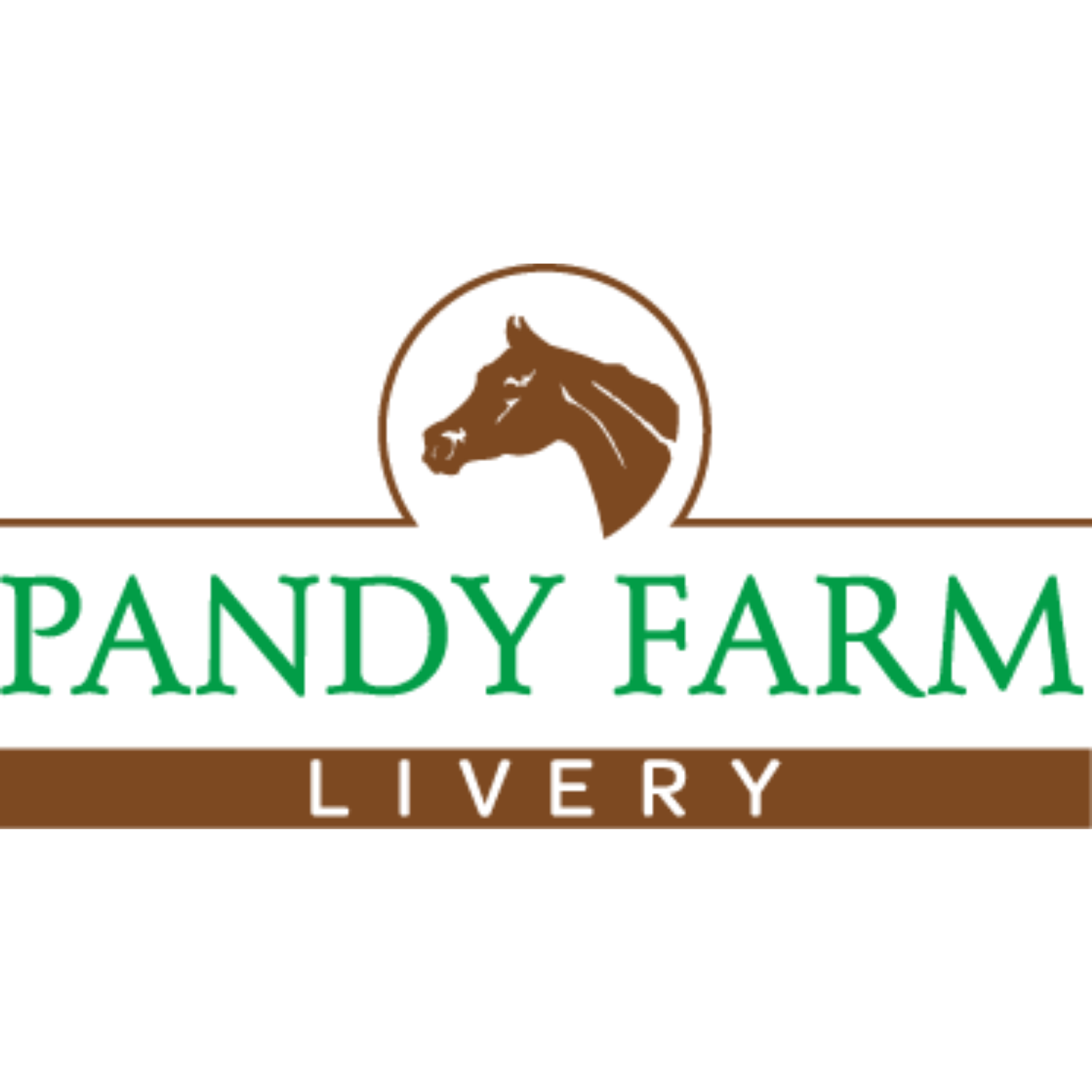 Organisation logo