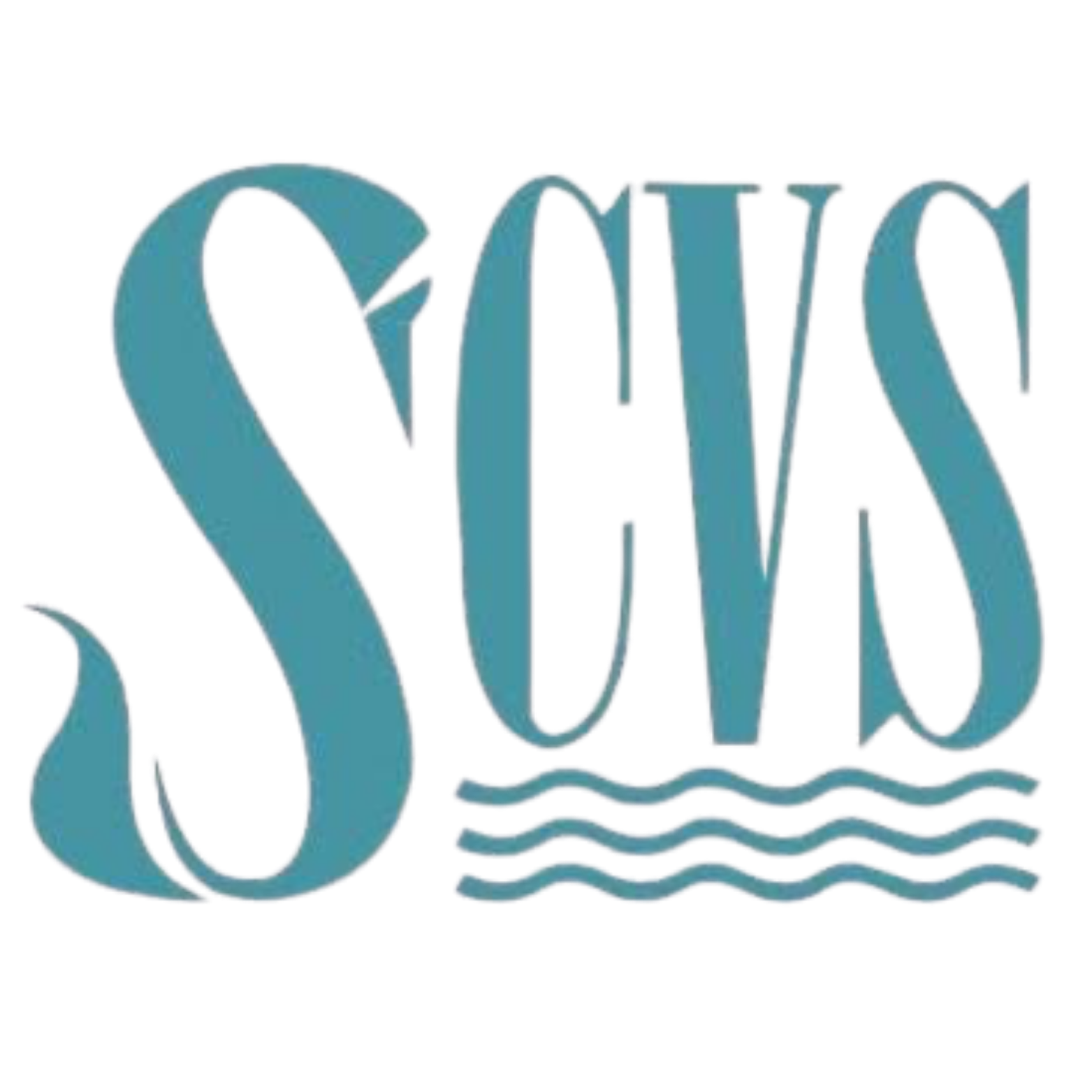 Organisation logo