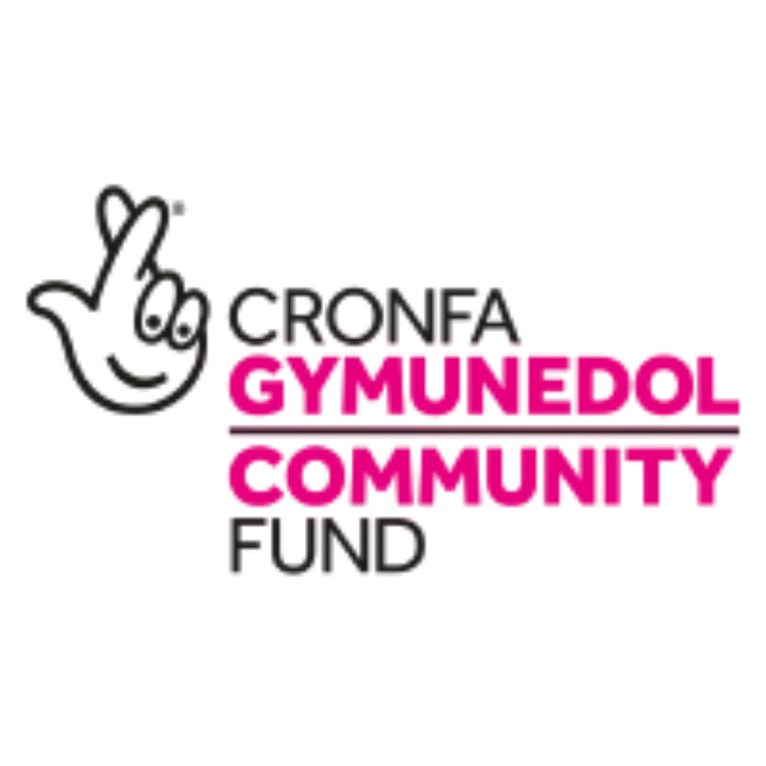 Organisation logo