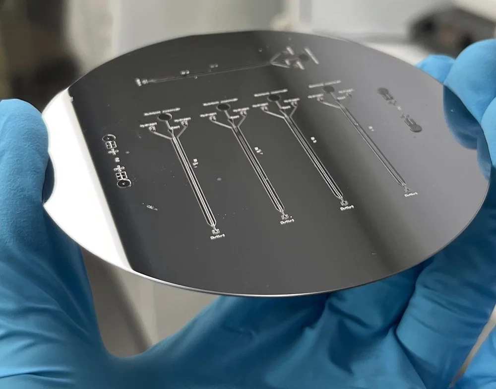 SU-8 master wafer for the root-on-chip device
