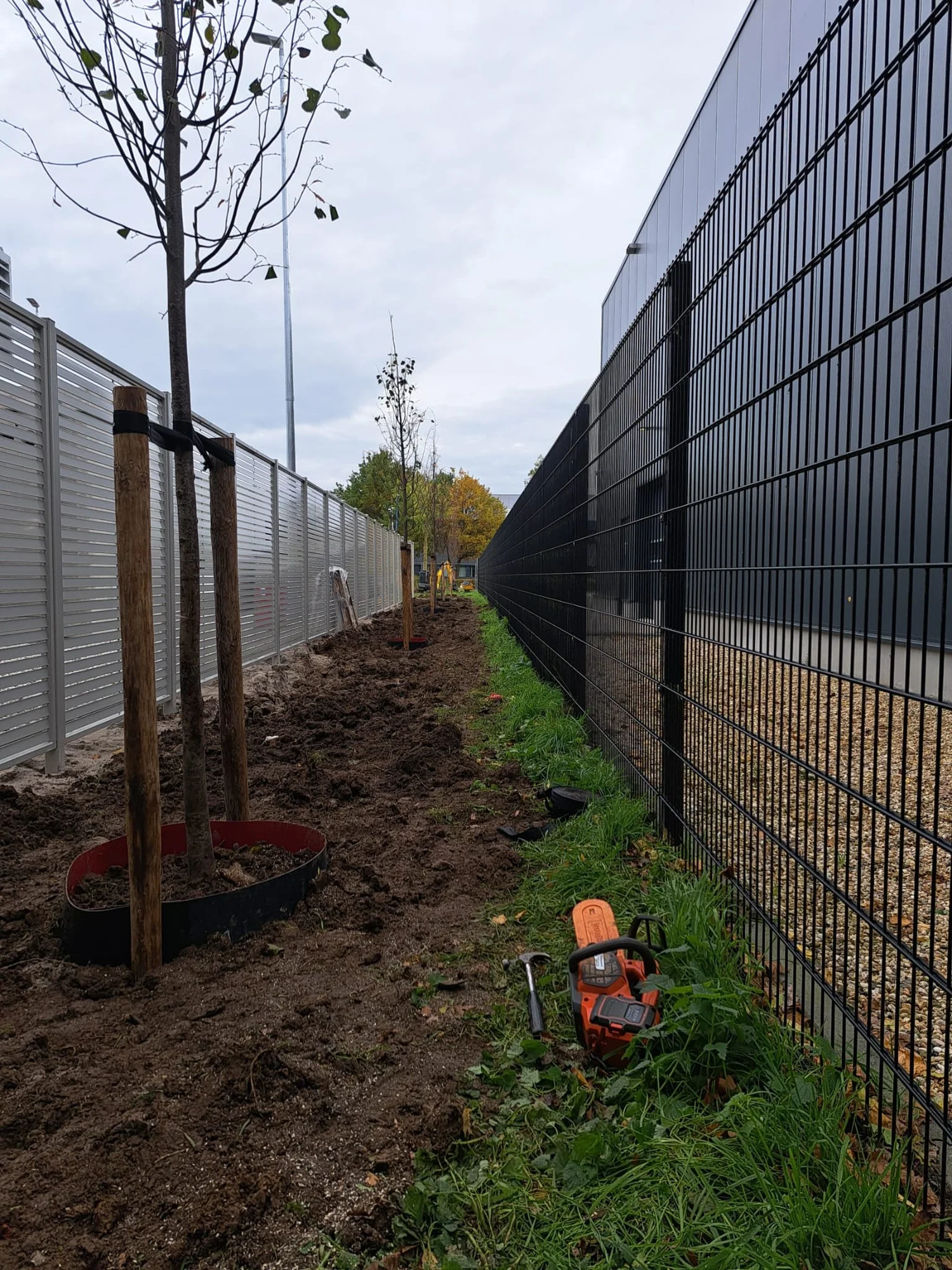 Beplanting