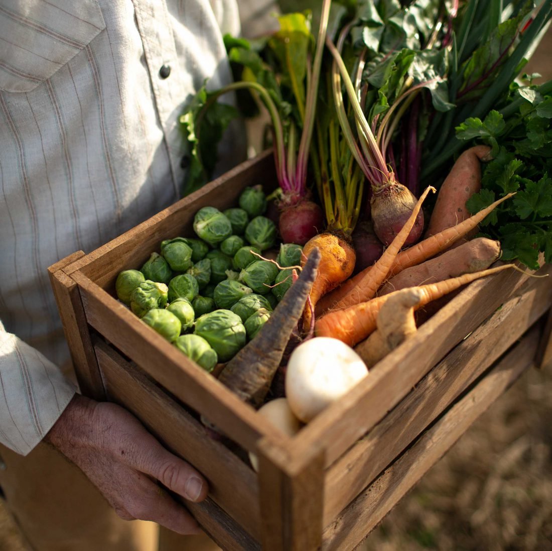 Farm-to-Door Produce