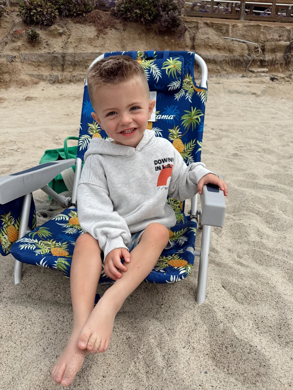 Archie at the beach
