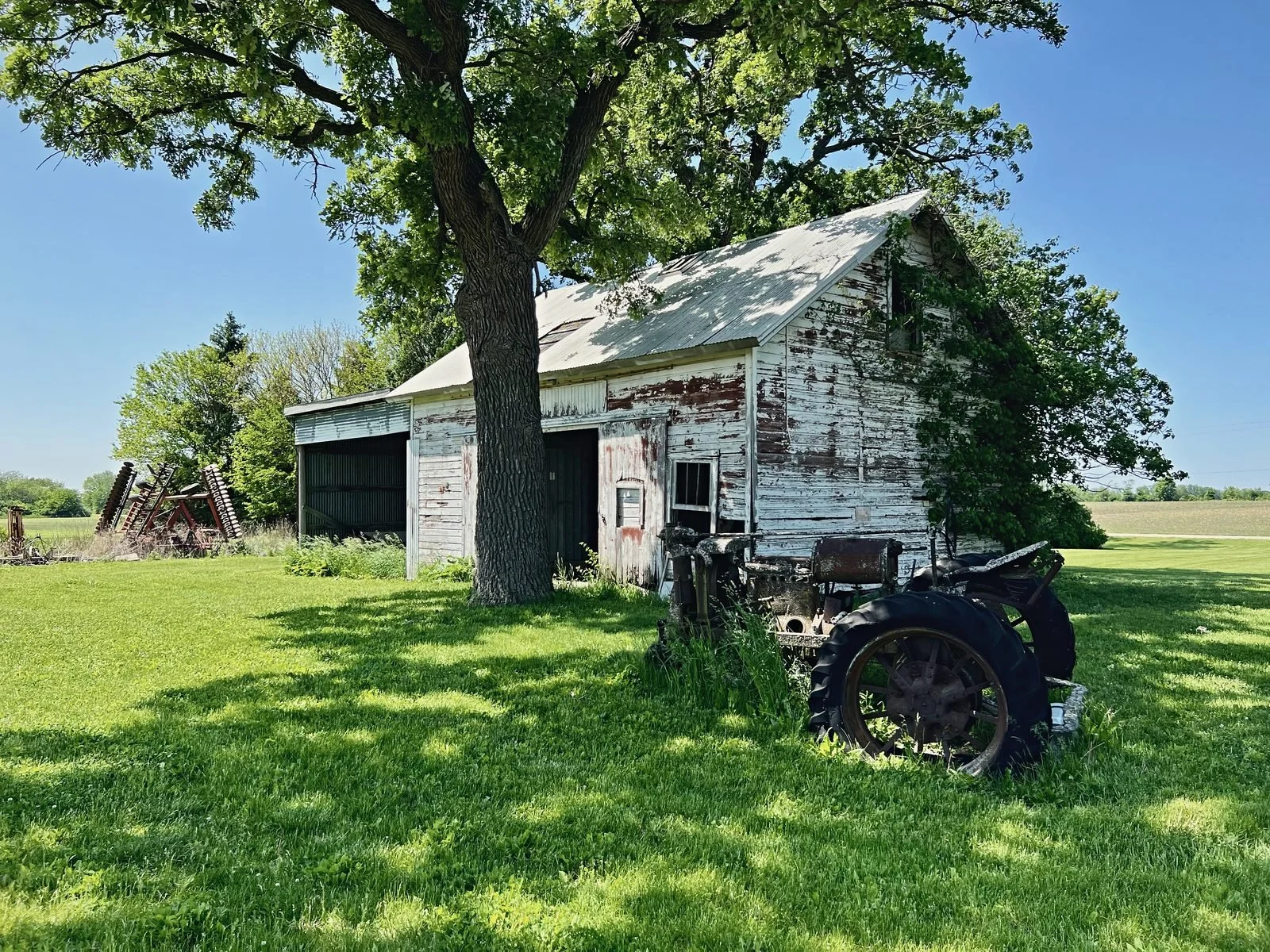 Weathered white farmhouse under a large oak with a vintage tractor in the grass
