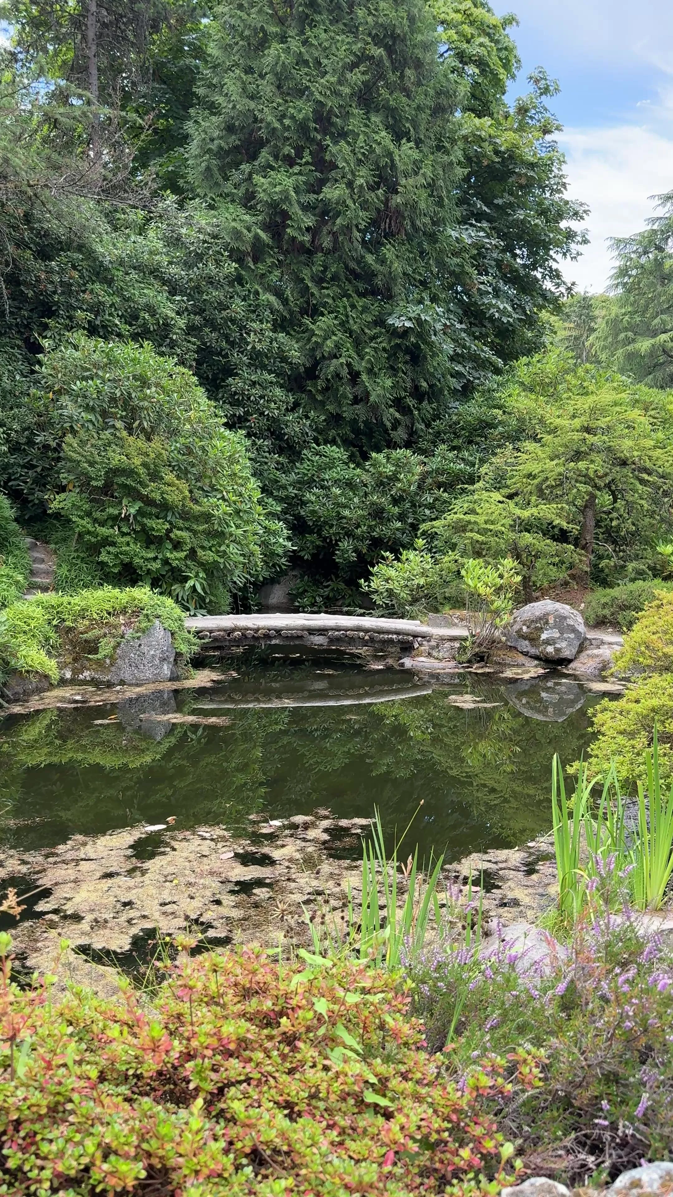 A stone bridge across the pond at Kubota Garden