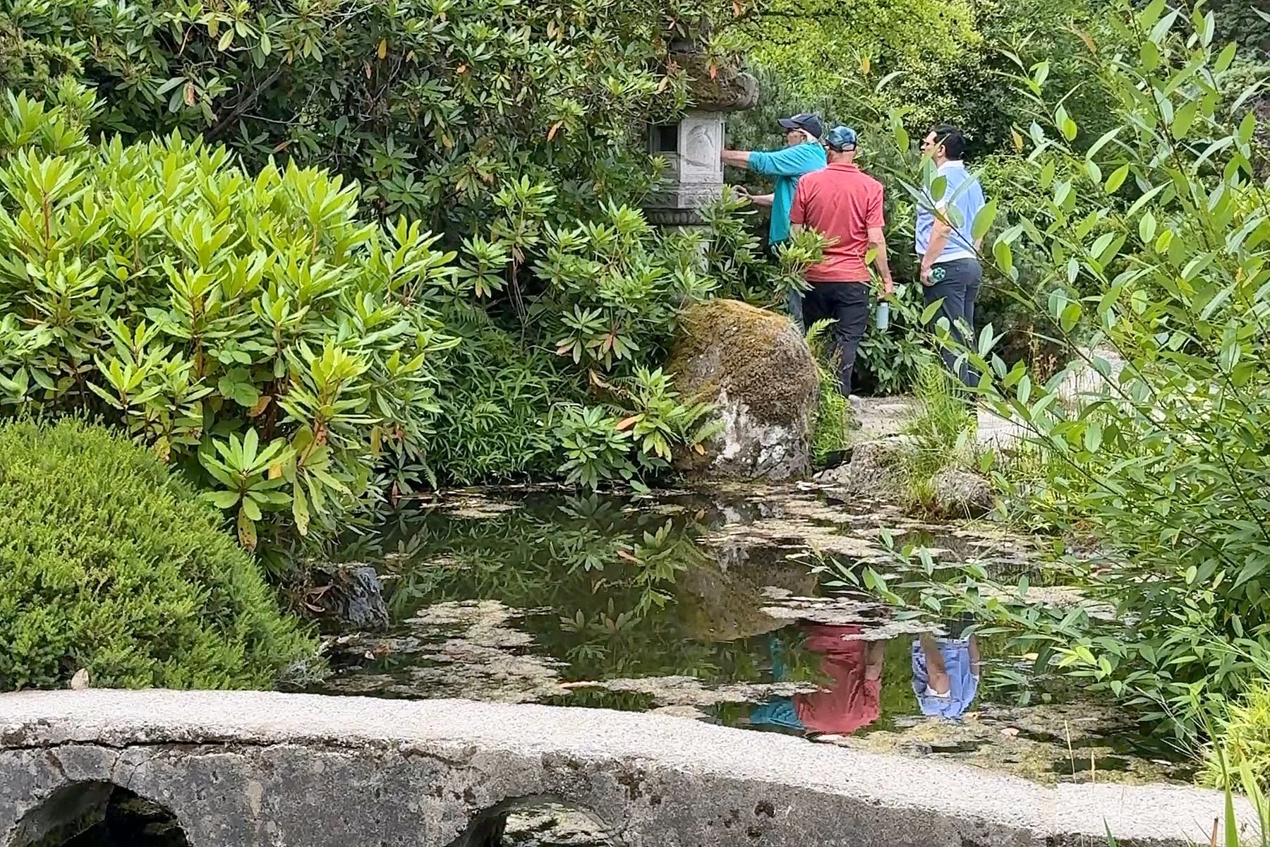 Guests exploring the pond and stone bridge at Kubota Garden