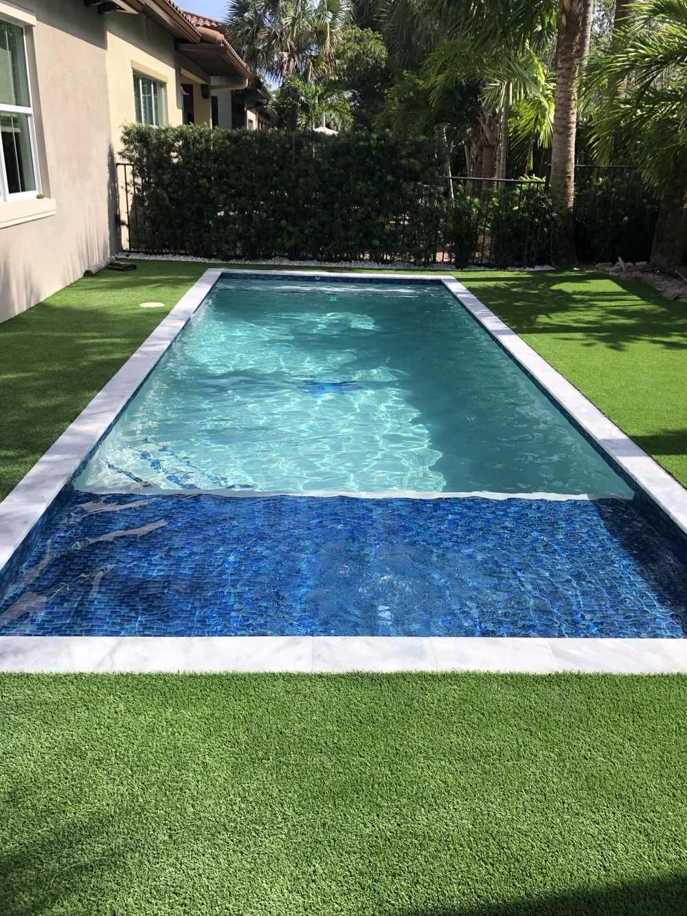 Freeform pool with fresh pebble finish inside a screen enclosure