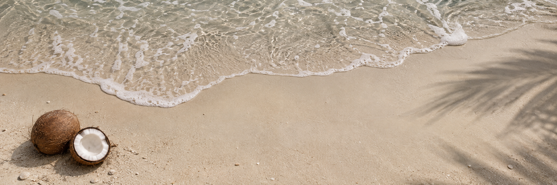 Coconuts on soft sand beside gentle ocean waves