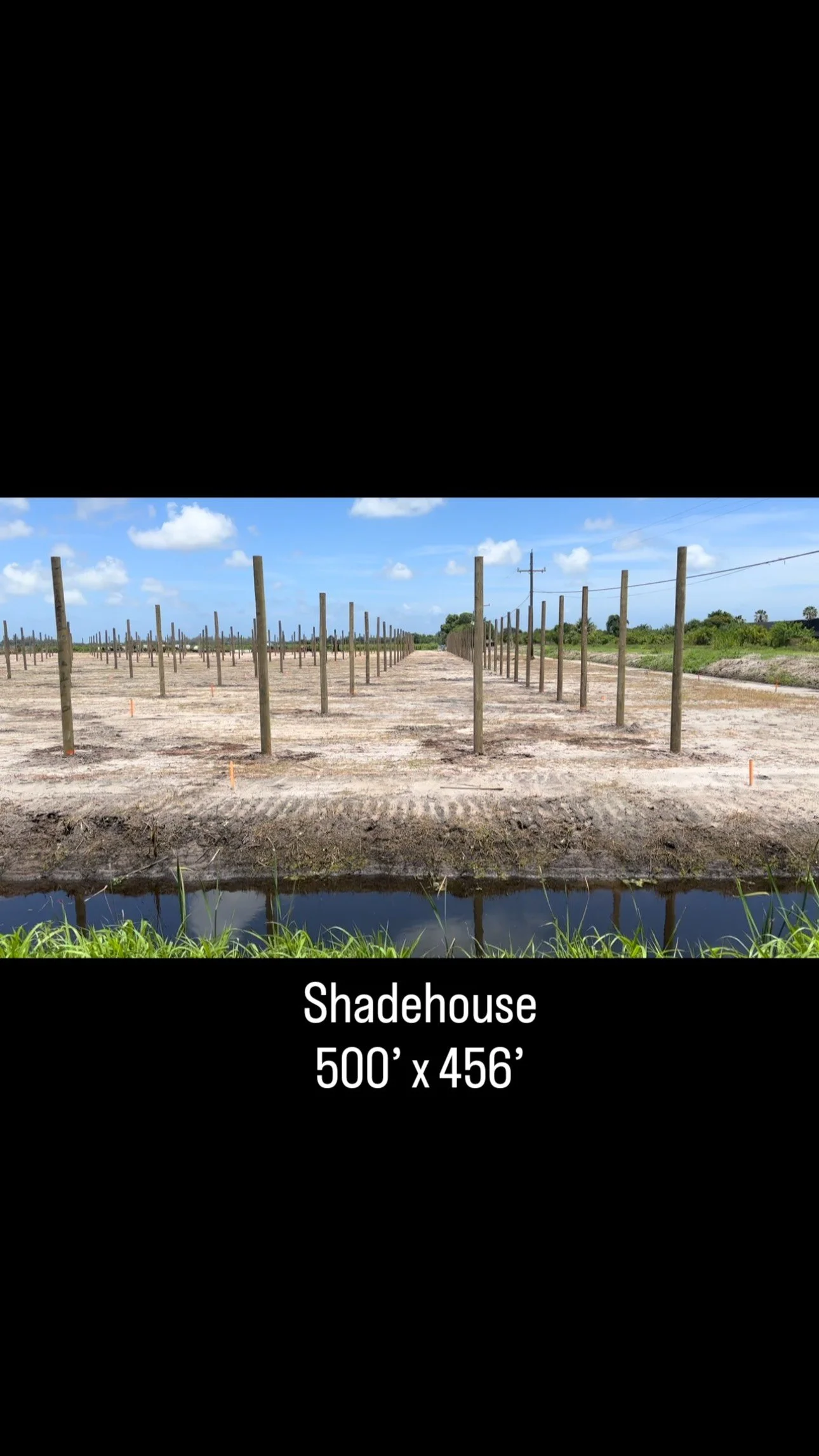 Large shade house project showing rows of structural posts