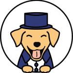 Dapper Dog tidy-up haircut