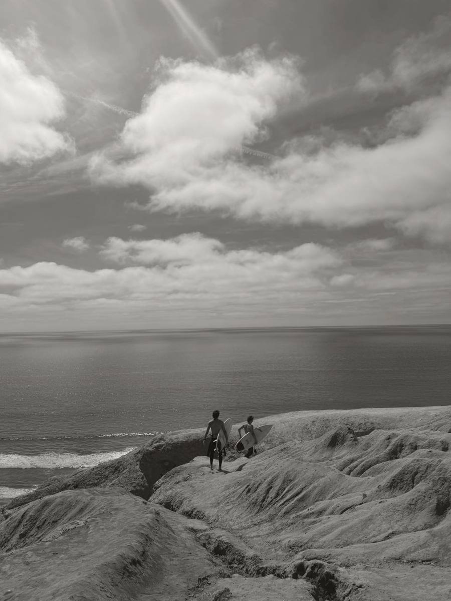 Coastal dunes above the ocean