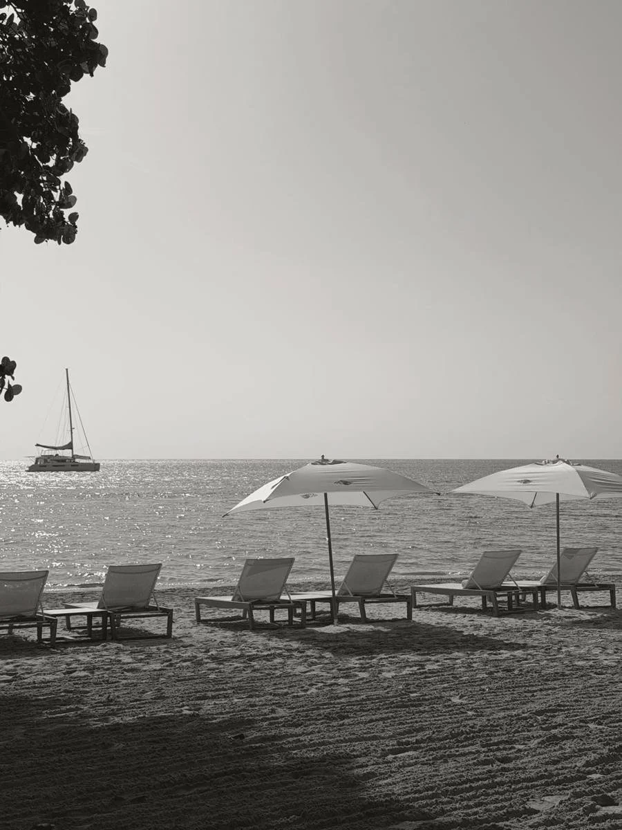 Beach chairs and umbrellas by the water