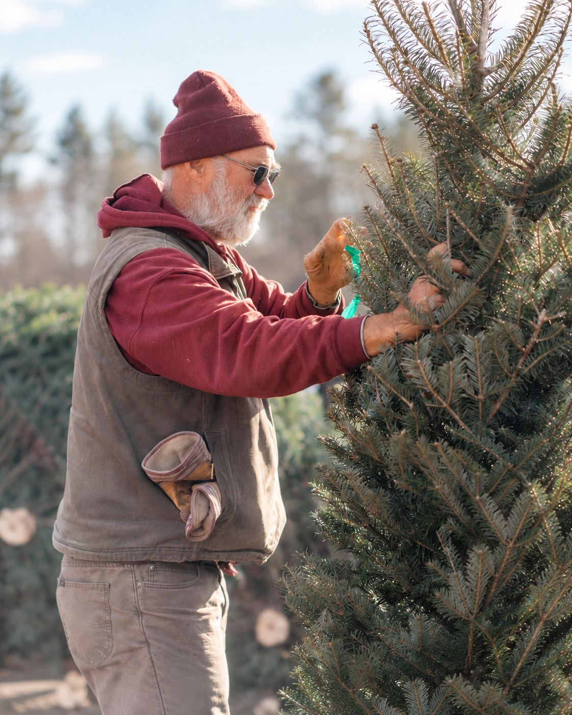 Robert Schrader at Chestnut Mountain Christmas Tree Farm