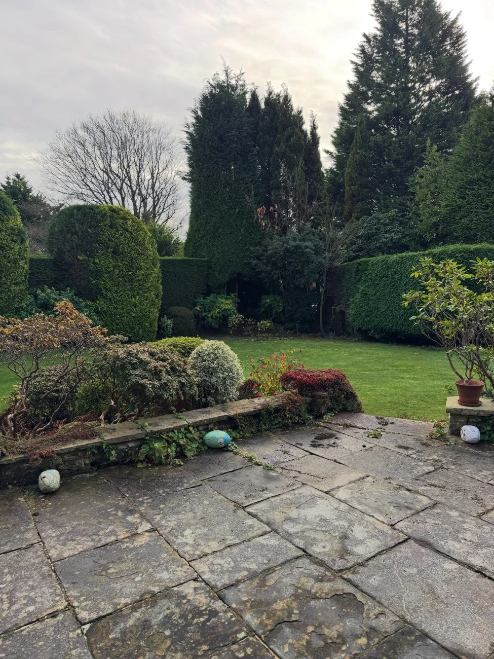 Existing stone terrace, low garden wall, mature shrubs and lawn before the proposed redesign.