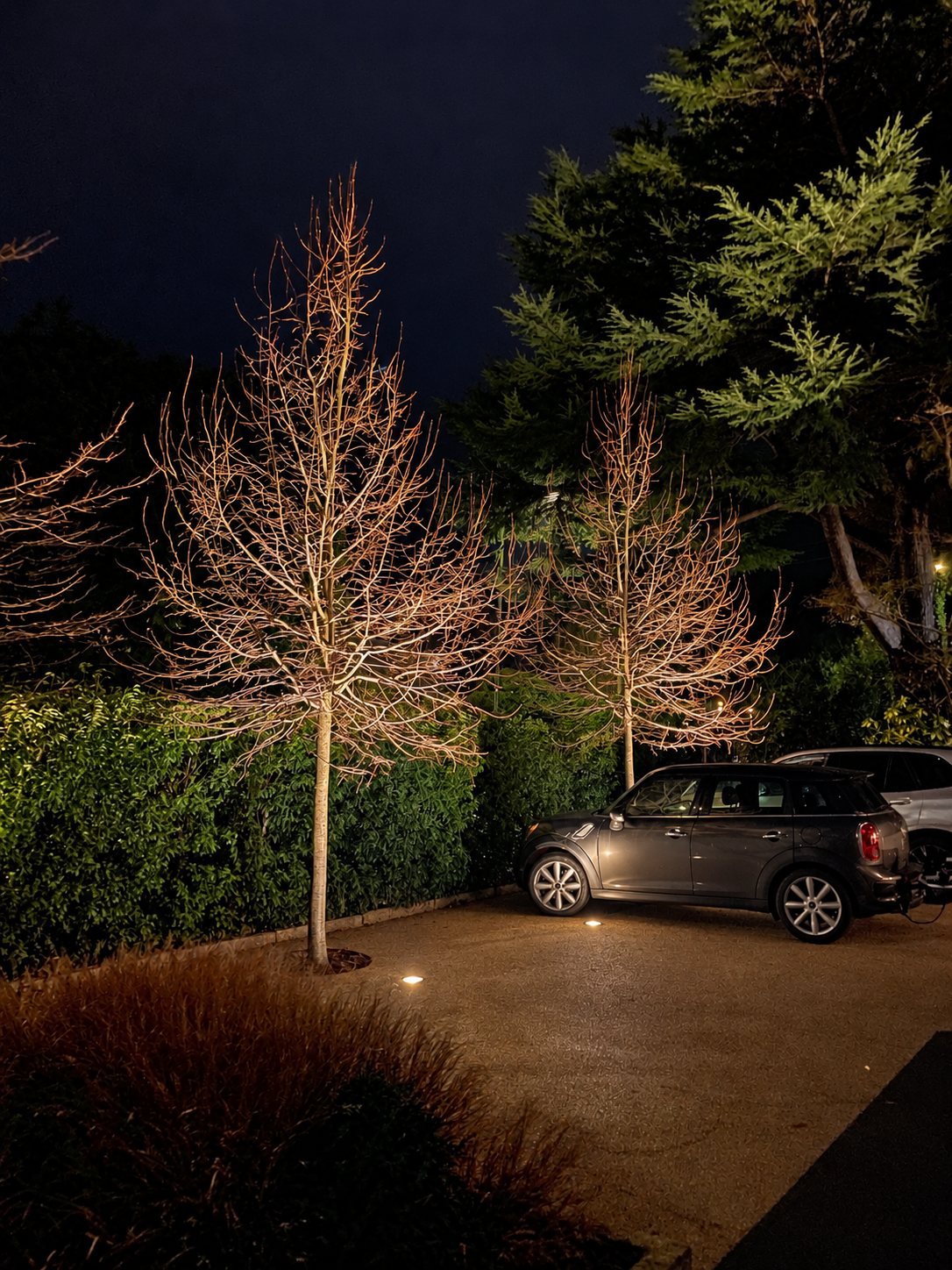 The parking area at night, with trees illuminated from below and low lights across the driveway.