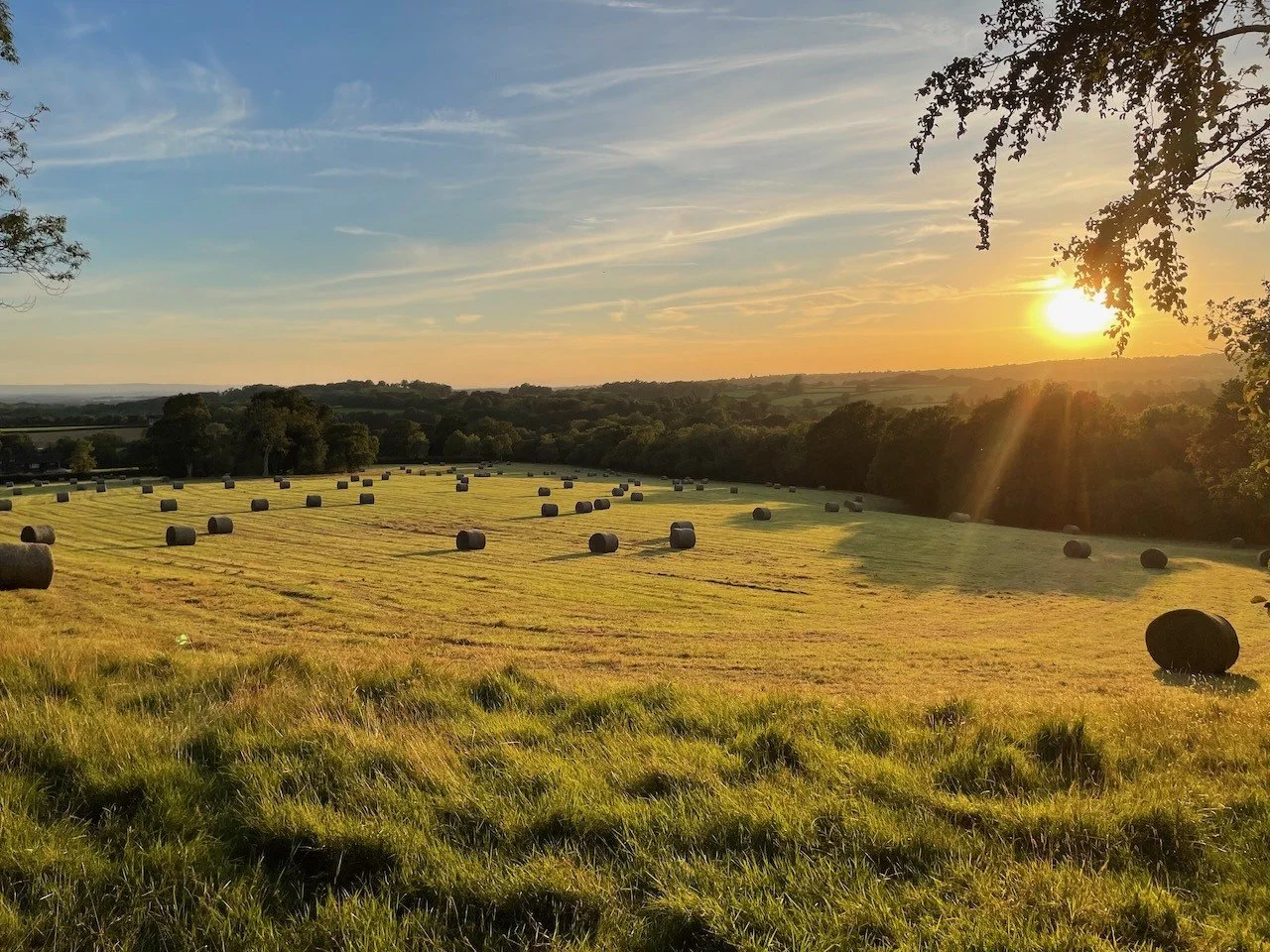 Explore Jersey Farm.