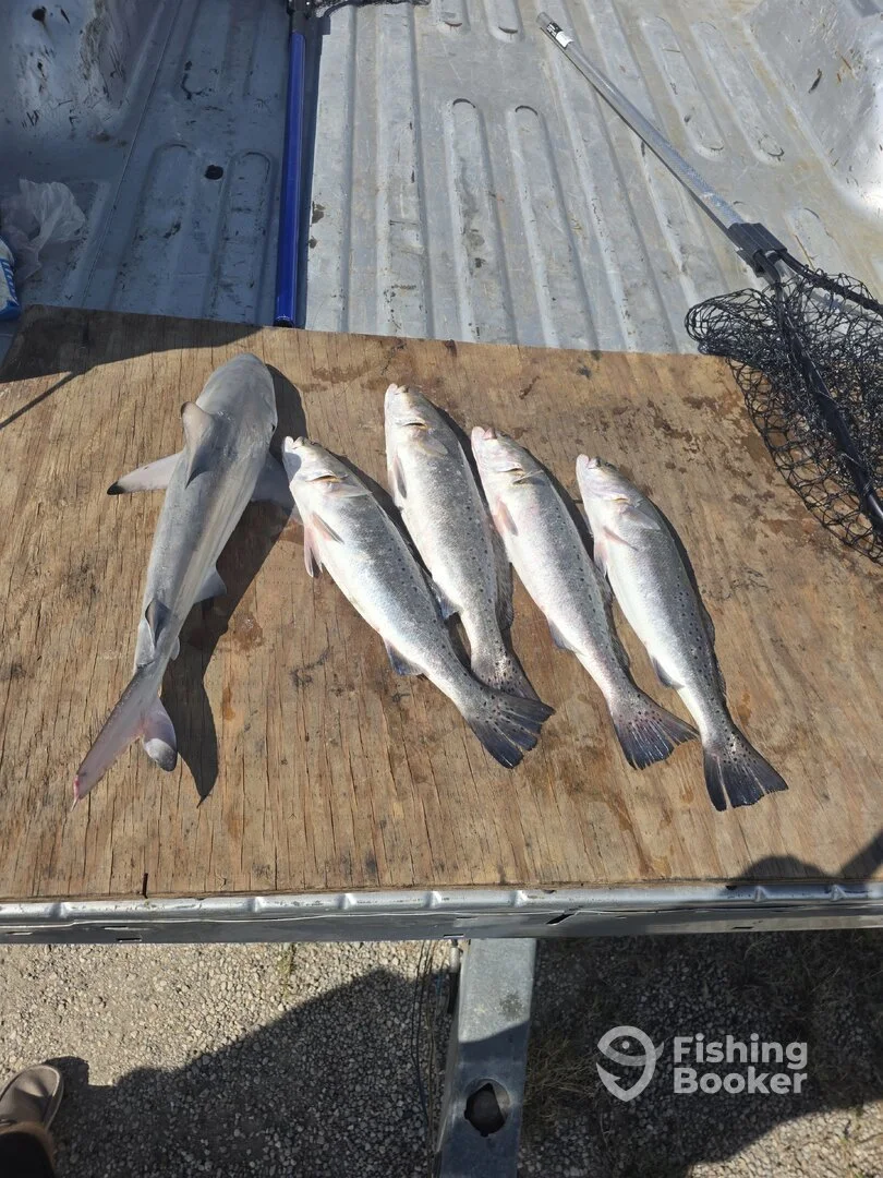 Fishing scene 4