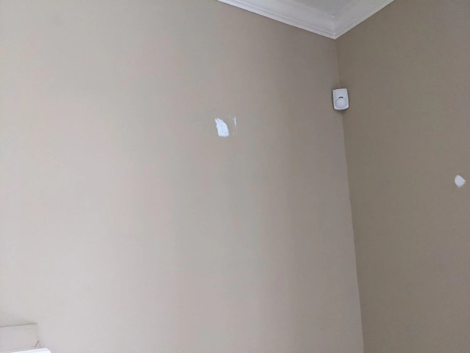 Interior repaint before