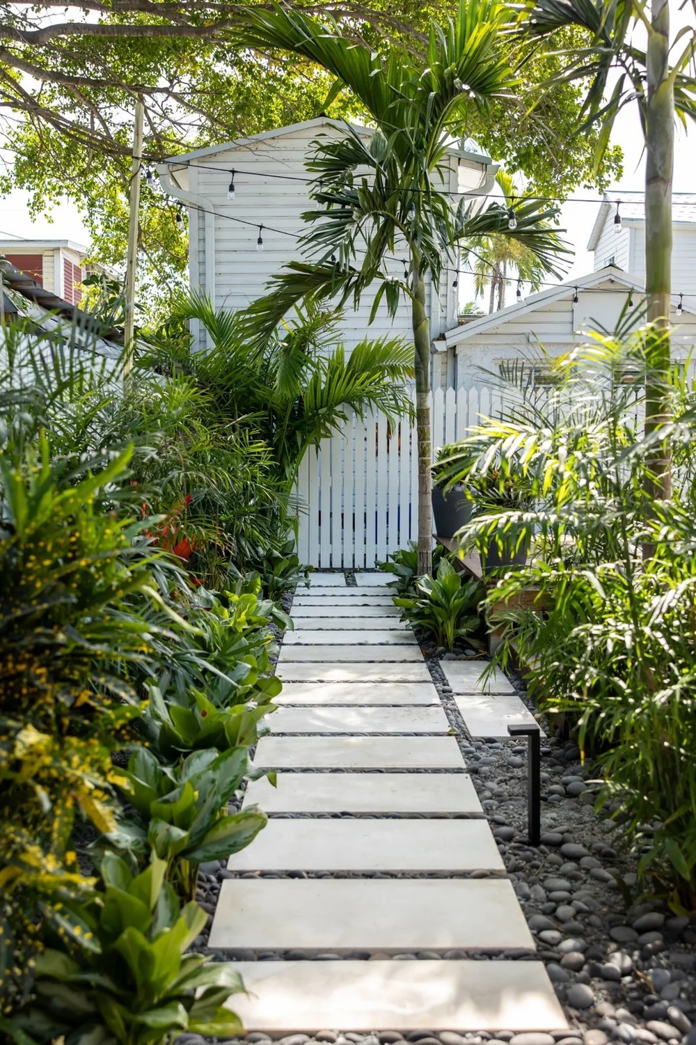 Stone garden path bordered by lush tropical foliage