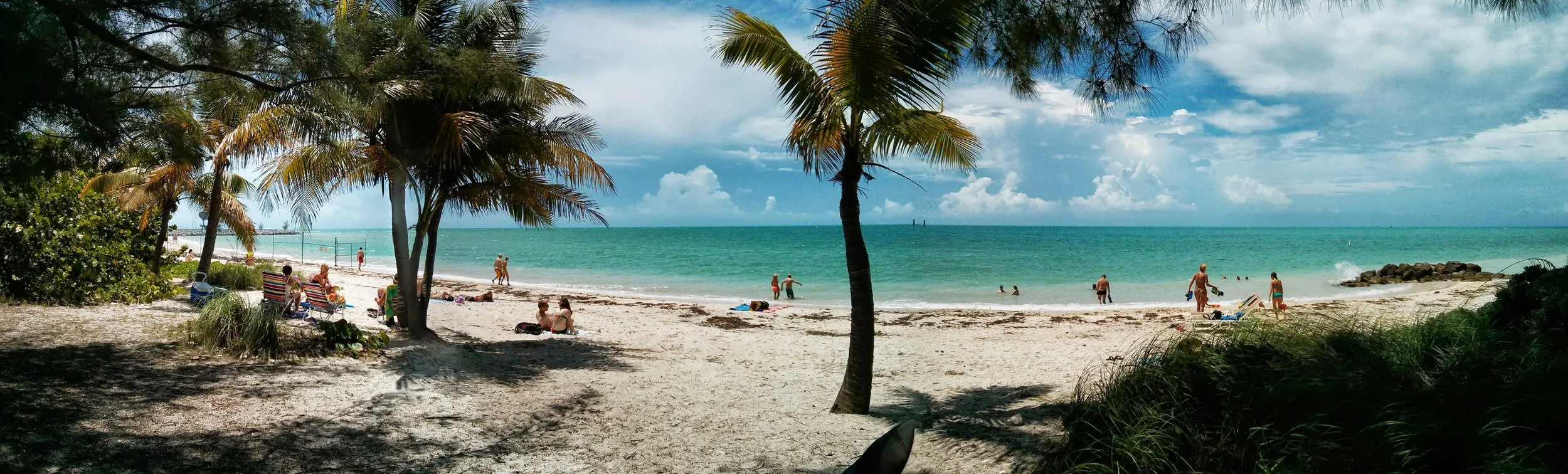 A beach scene with palm trees, people, and ocean