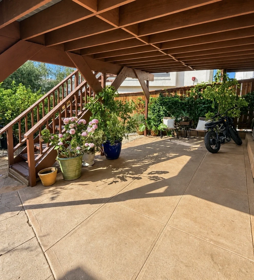Patio after: potted hydrangeas, plants, chairs and dappled light under the deck