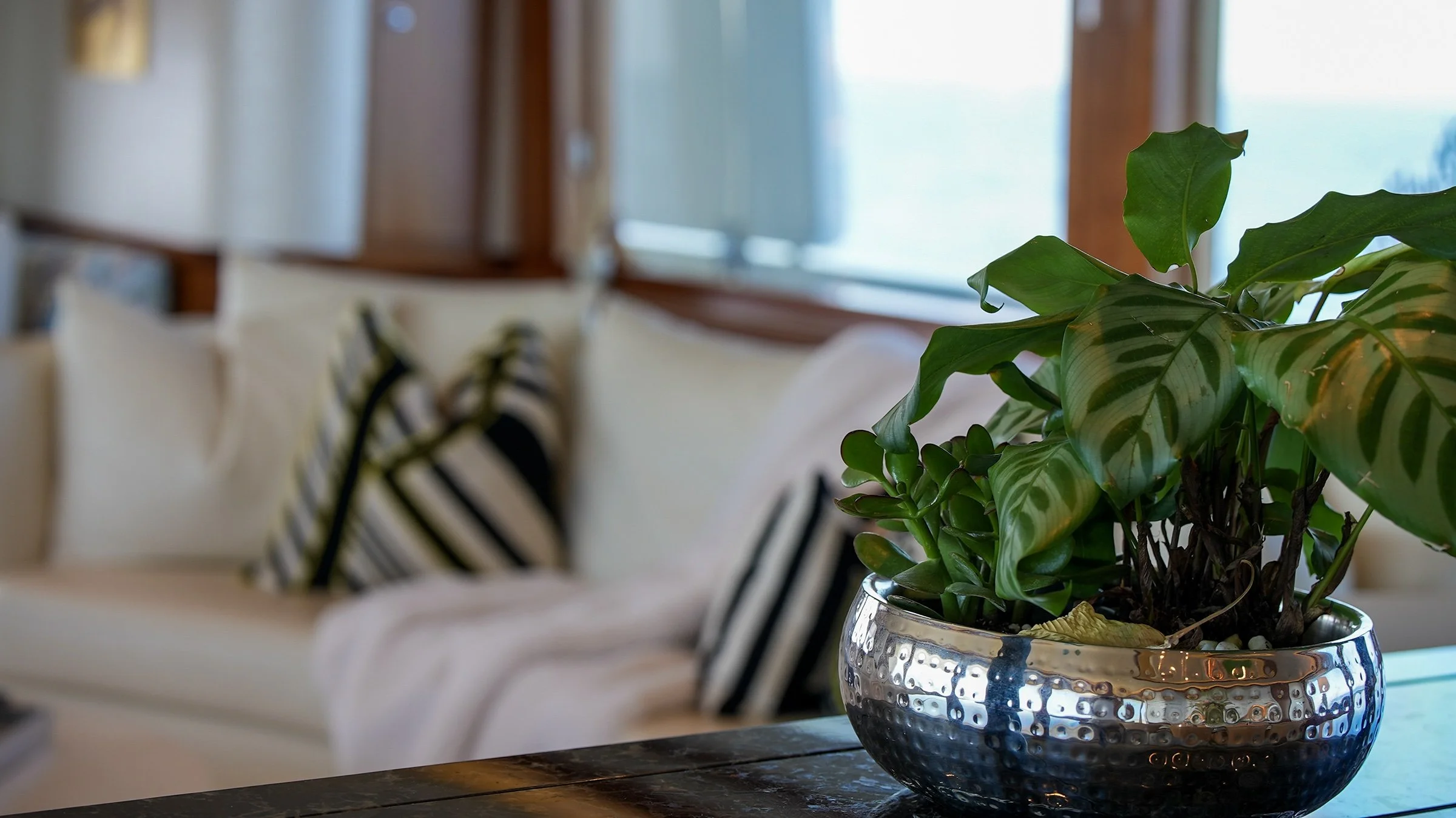 Plant and silver bowl in the salon