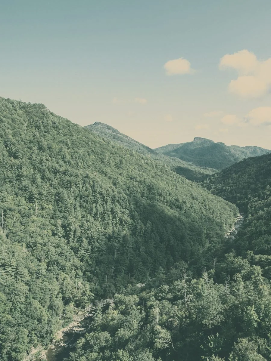 Forested mountain ridges and a river valley
