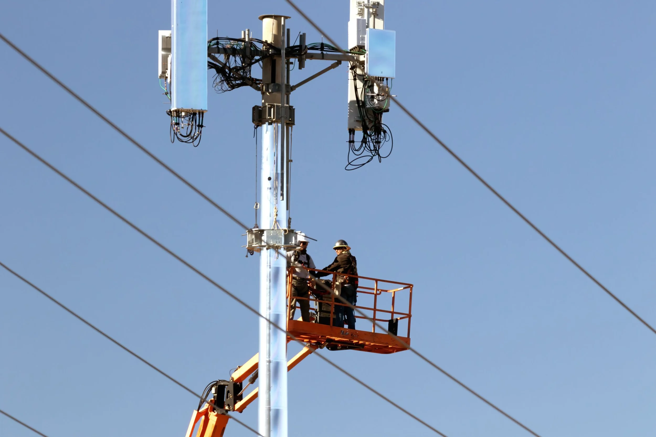 Telecommunications carrier network