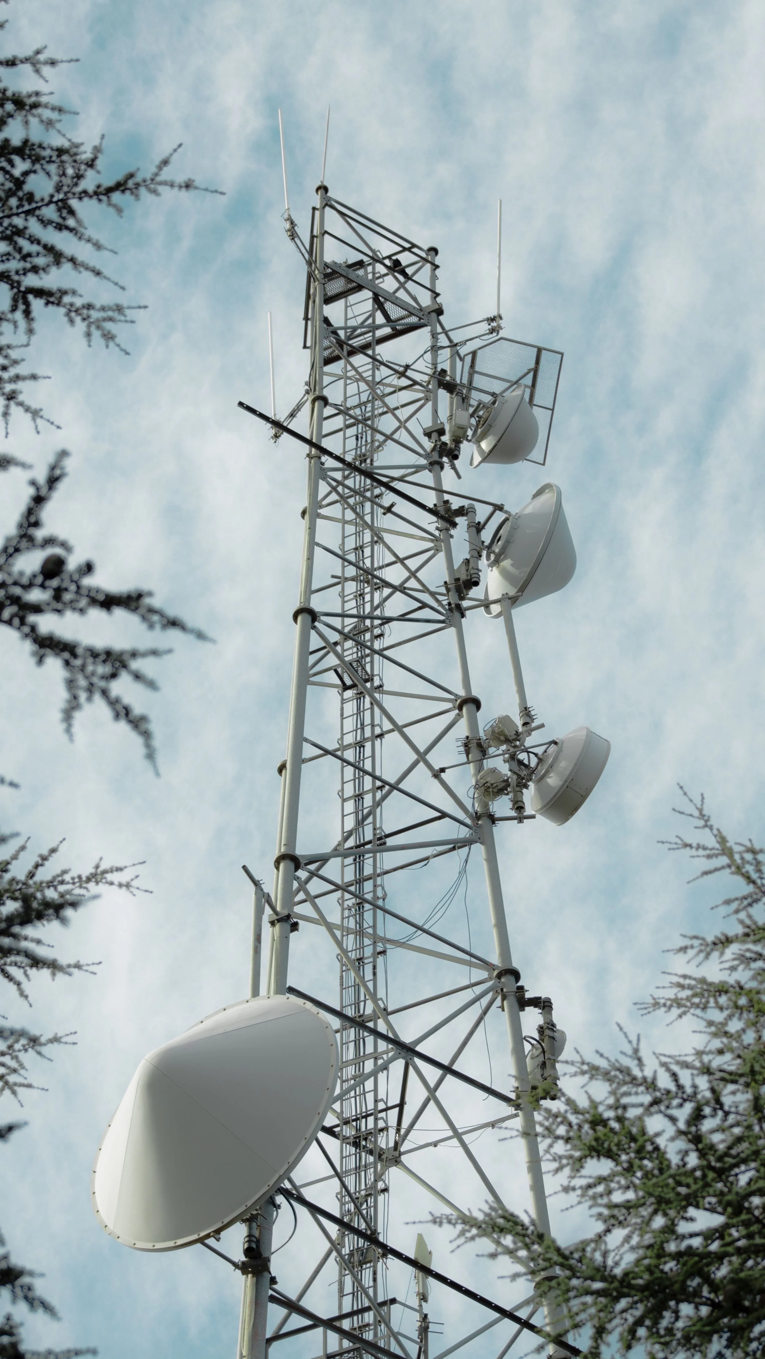 Aerial fibre optic cable on utility poles