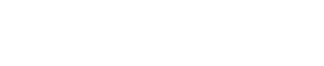 VisionLink