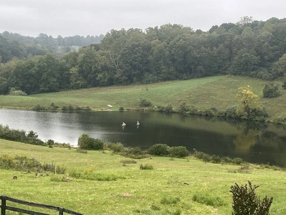 The lake below rolling pasture