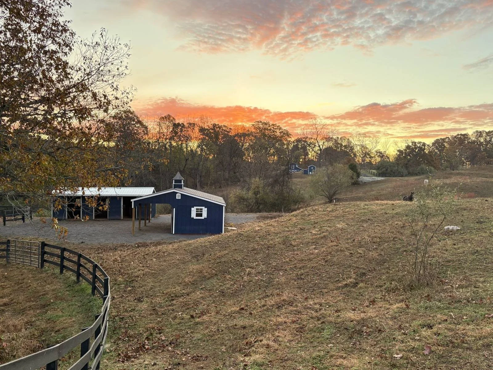 Sunset over the barns and paddocks