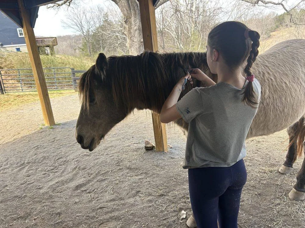 A child grooming a pony
