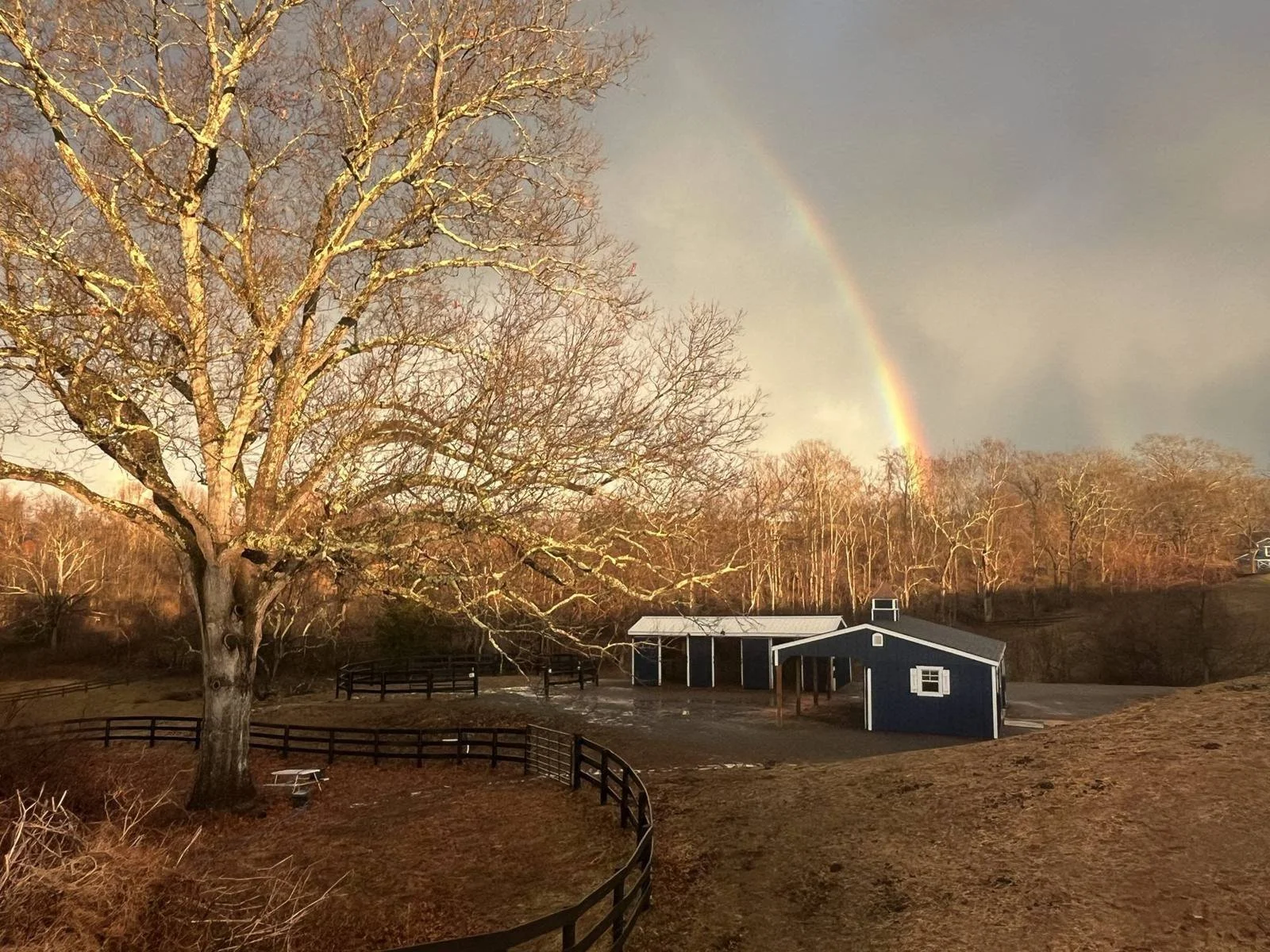 A rainbow over Havenstone's blue barns at golden hour