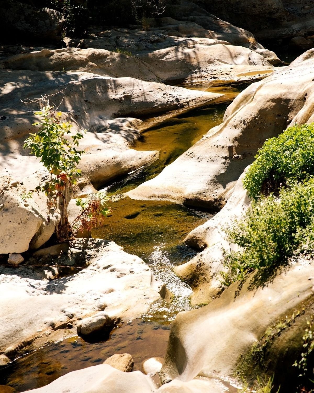 A creek running through the canyon rock