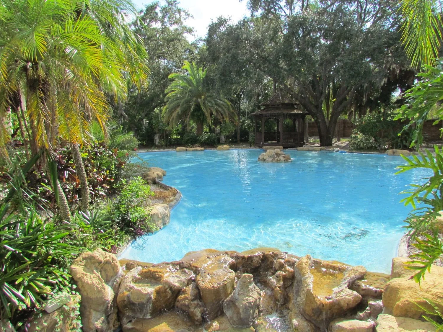 Lagoon-style pool in East Lake Woodlands