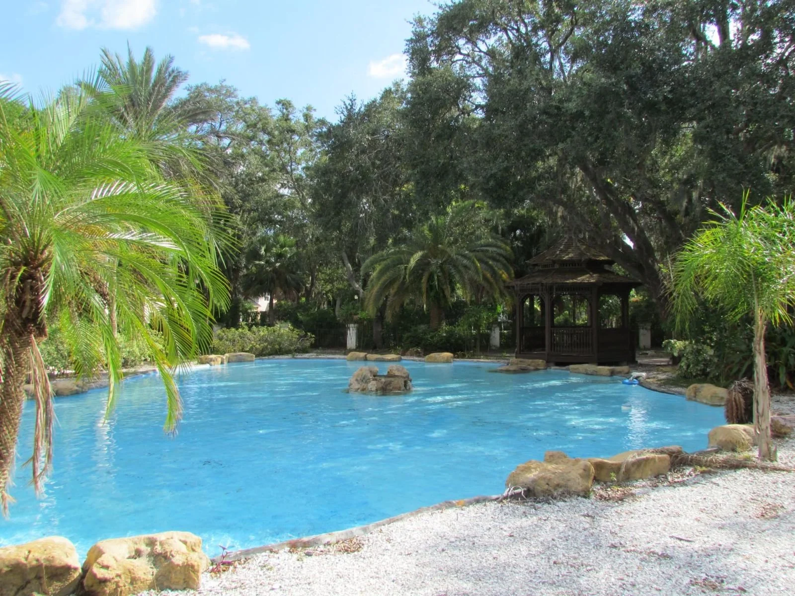 Lagoon pool under trees