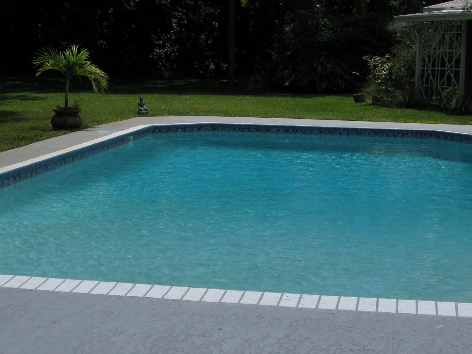 Rectangular pool with coping in Dunedin