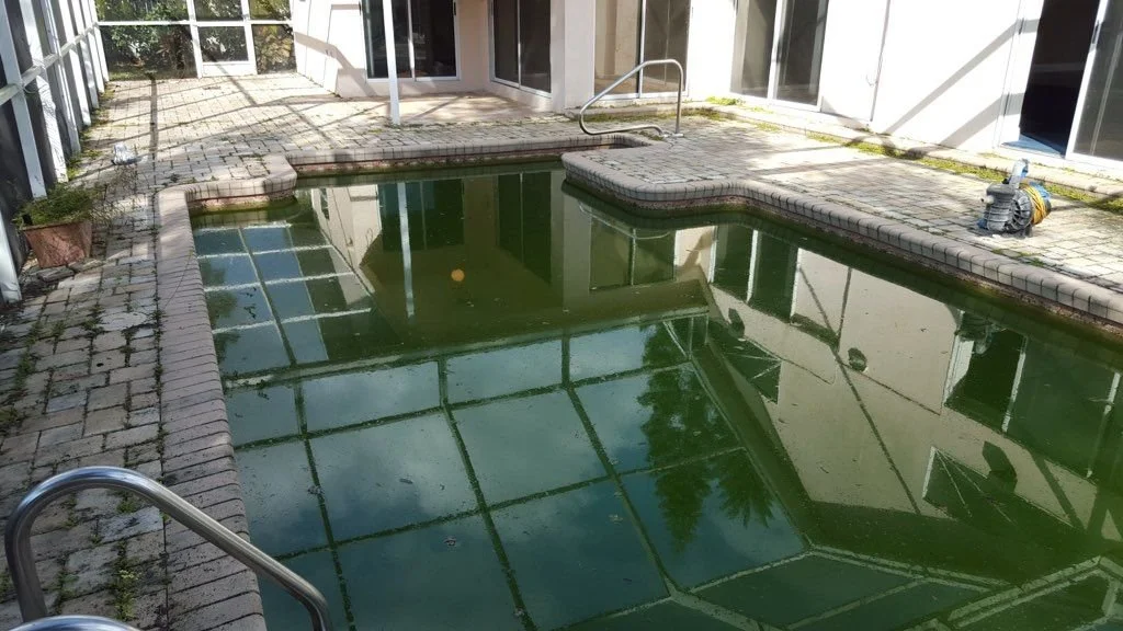 Pool turning green in Pinellas County