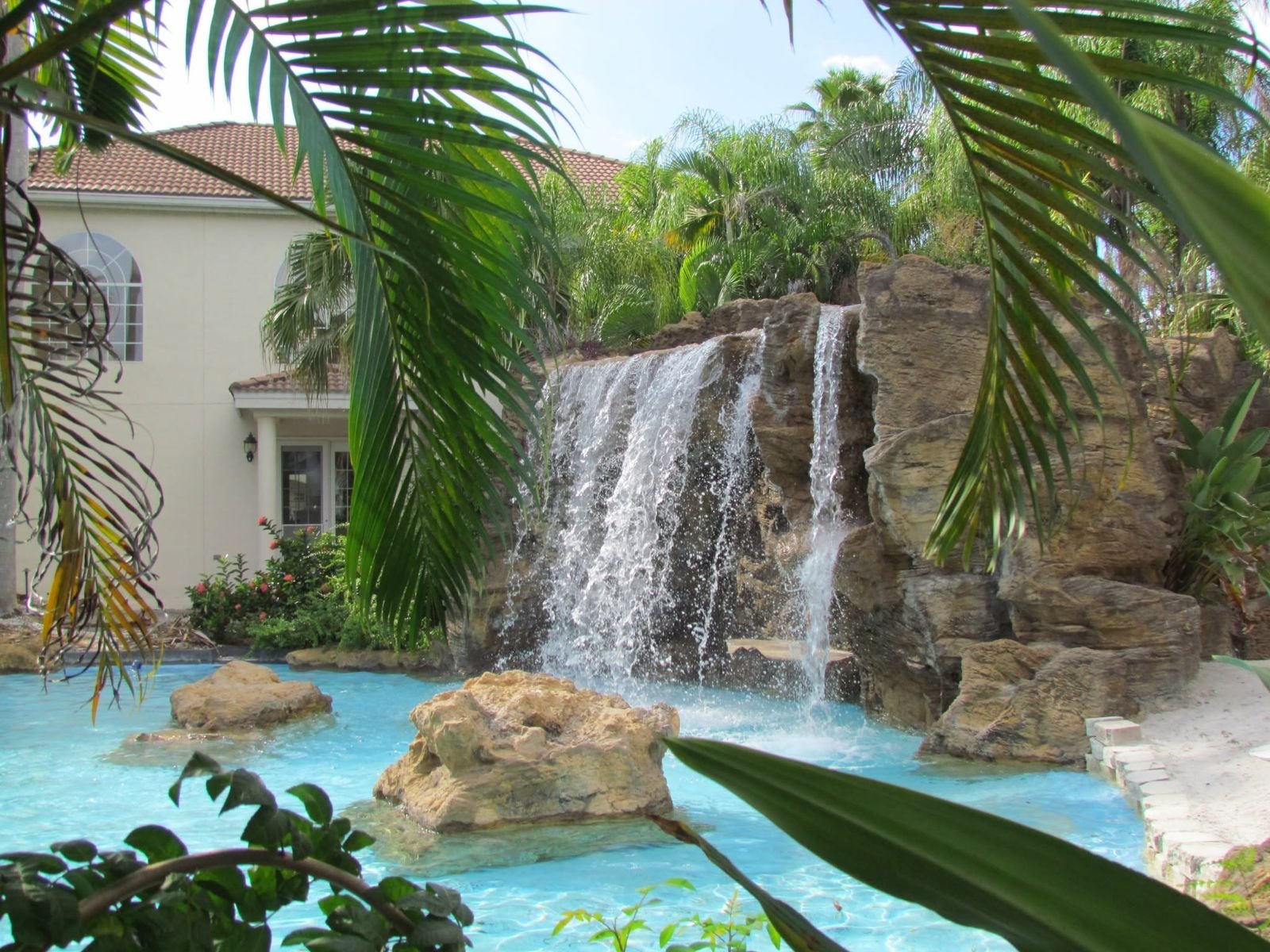 Waterfall pool with palms in Palm Harbor