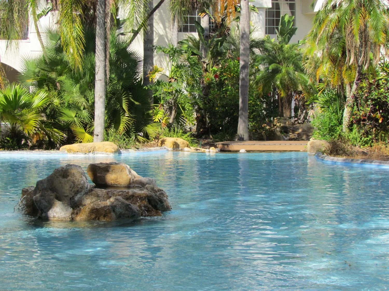 Pool edge where the skimmer sits