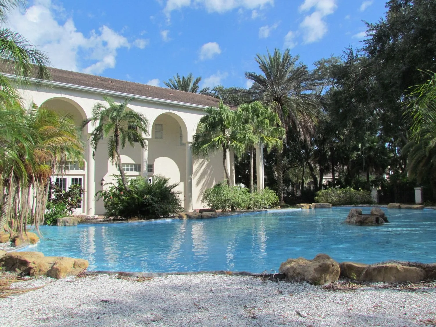 Lagoon pool with palms in Lansbrook