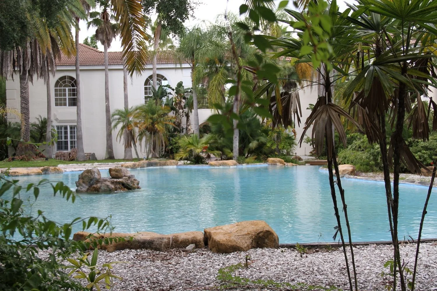 Boulder lagoon pool in Safety Harbor