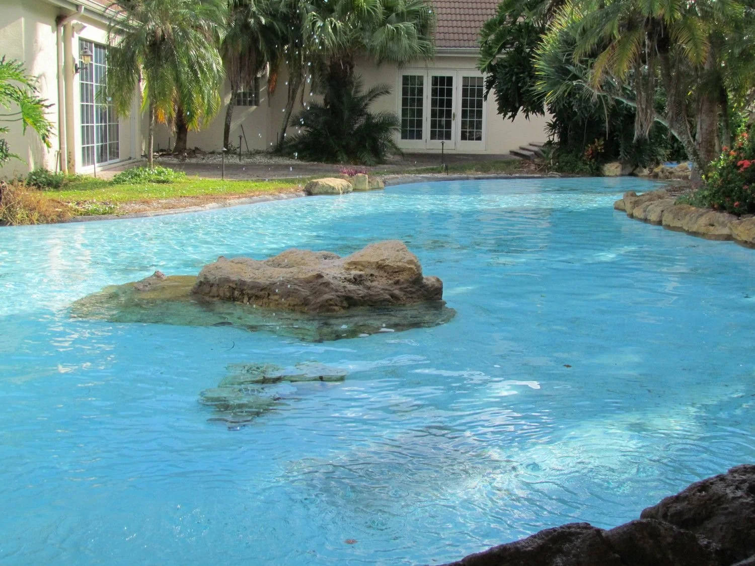 Backyard pool with a rock island in the Clearwater area