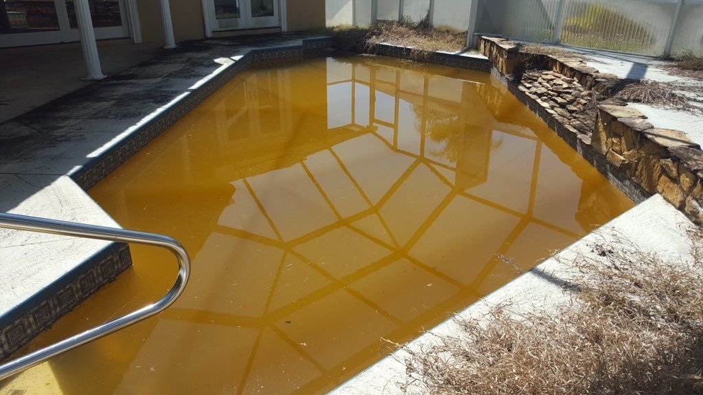 Tea-colored stained pool water