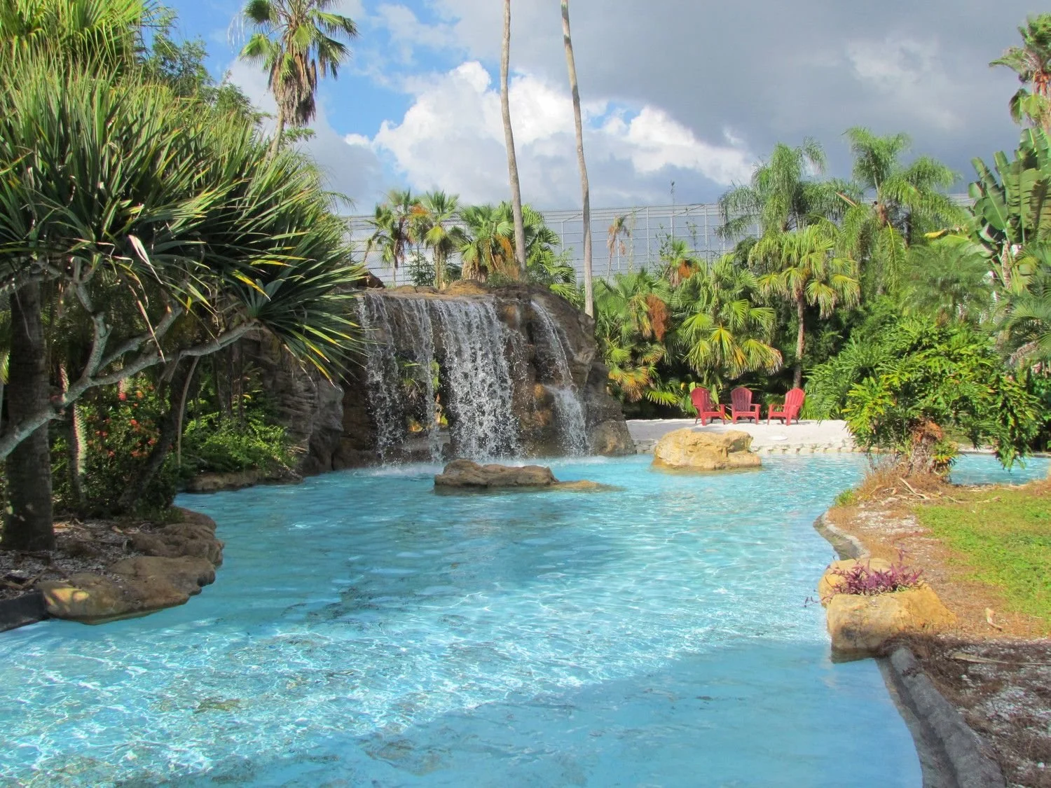 Tropical pool with a tall waterfall maintained by Dog Days Pools in Palm Harbor, FL