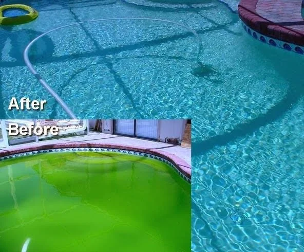 Green pool before and clear blue pool after a Dog Days clean-up in Clearwater