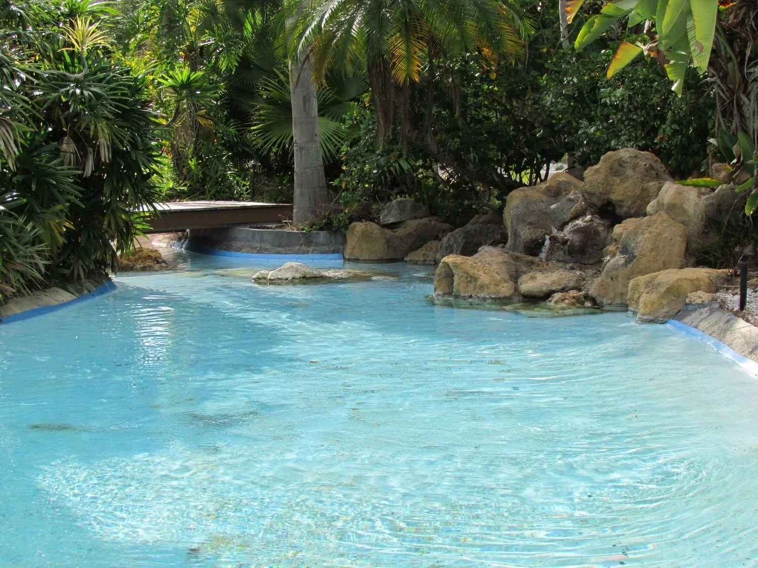 Beach-entry pool maintained by Dog Days Pools in Countryside, Clearwater, FL