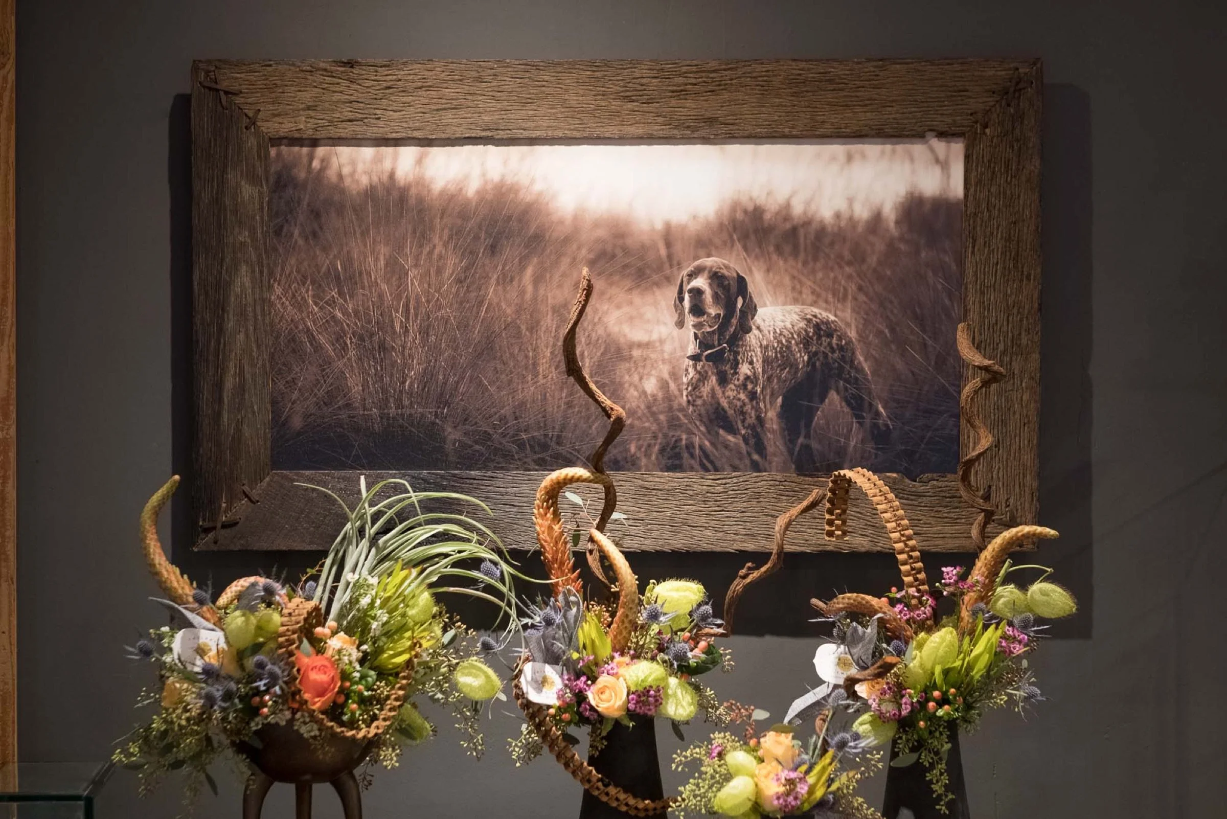 Handcrafted reclaimed wood frame surrounding an environmental dog portrait