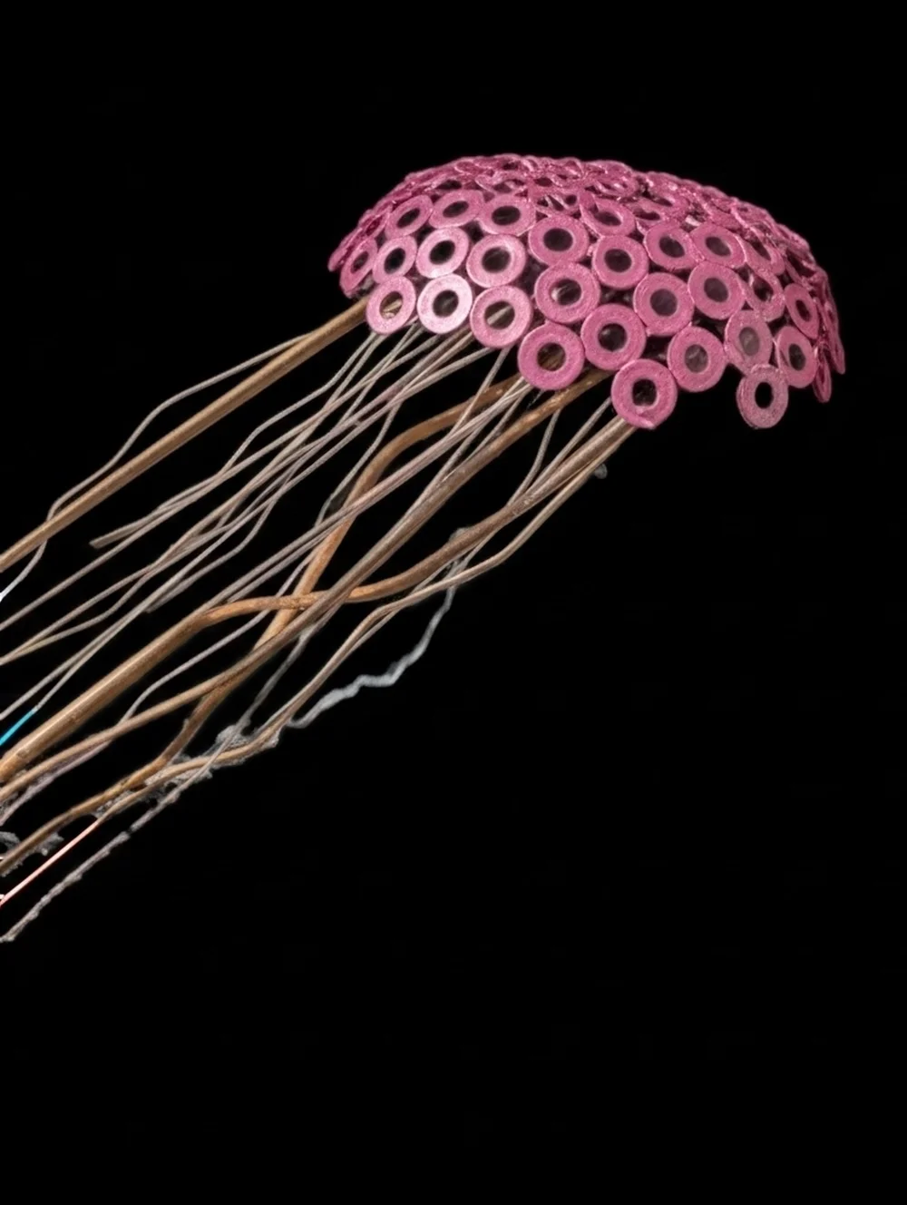Eric J. Cox’s jellyfish sculpture with a pink washer dome and long metal tentacles